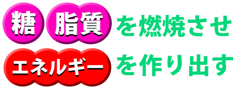 エネルギーを作り出す